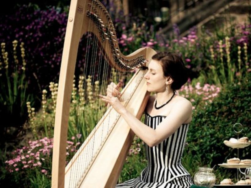 tamsin harpist